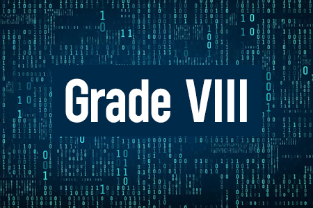 Grade VIII